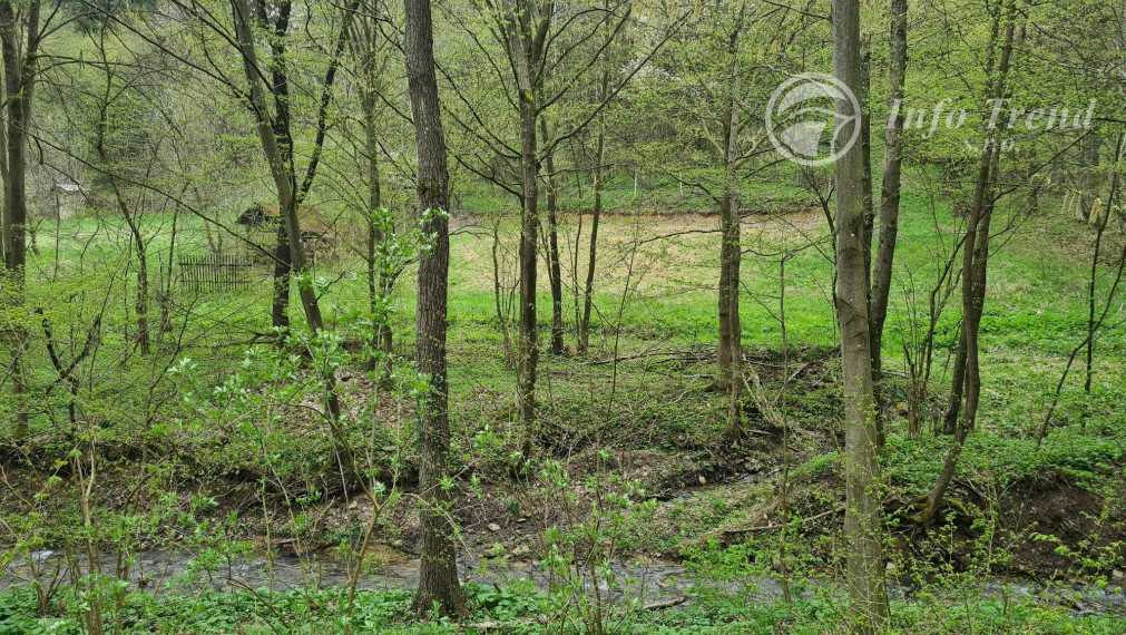 Lesný pozemok v Rekreačnej časti -  Mnichovský potok, Bardejov