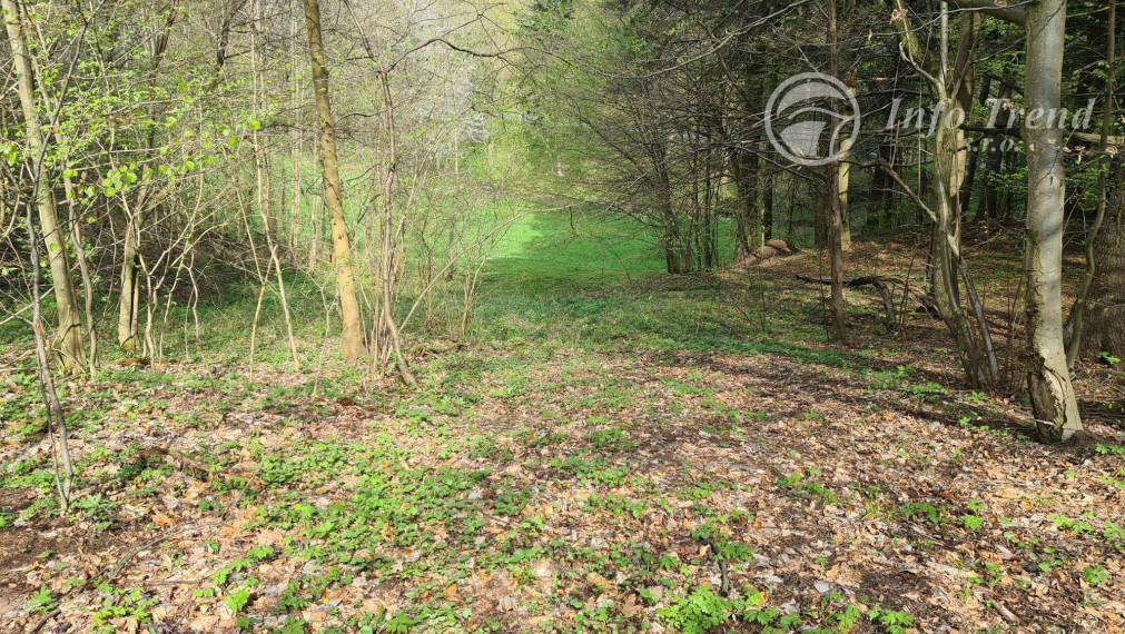 Lesný pozemok v Rekreačnej časti -  Mnichovský potok, Bardejov