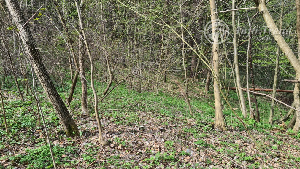 Lesný pozemok v Rekreačnej časti -  Mnichovský potok, Bardejov