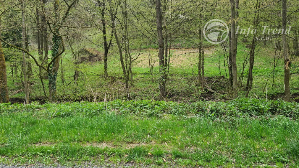 Lesný pozemok v Rekreačnej časti -  Mnichovský potok, Bardejov