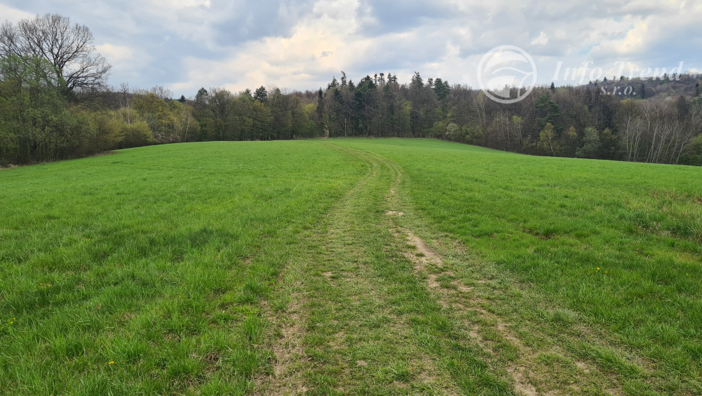 Pozemky  nad sídliskom Moliterka - Stredná hora