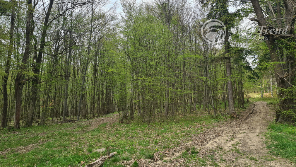 Pozemky  nad sídliskom Moliterka - Stredná hora