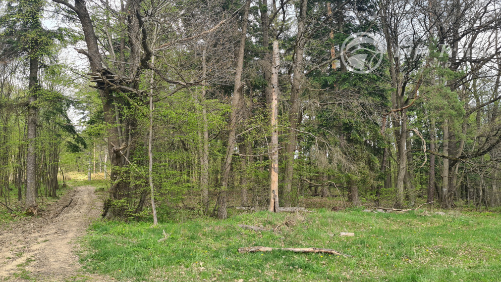 Pozemky  nad sídliskom Moliterka - Stredná hora