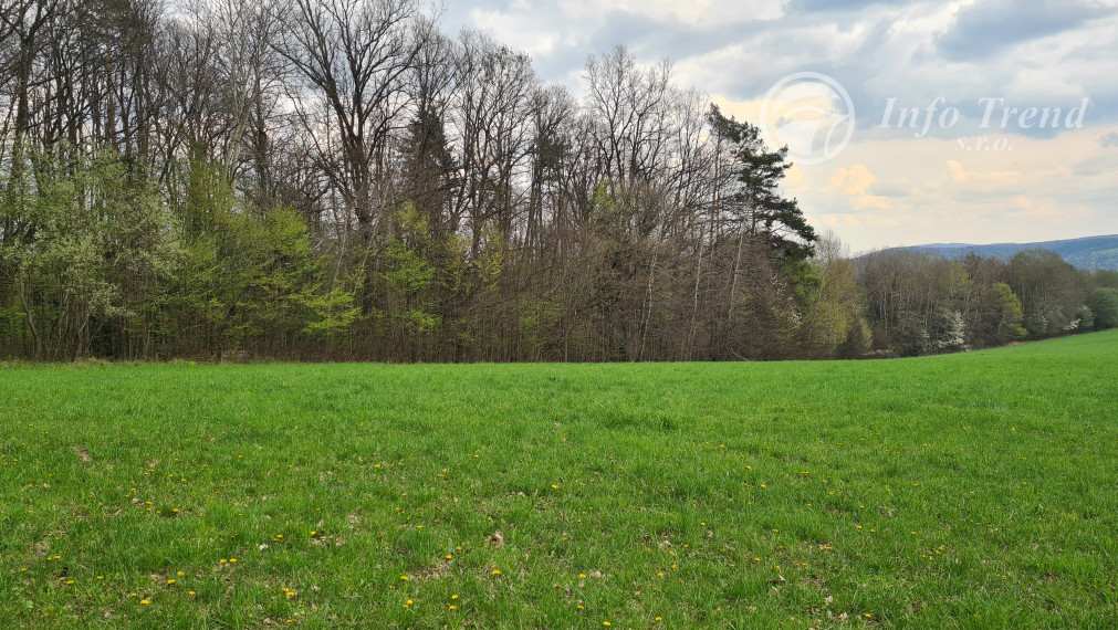 Pozemky  nad sídliskom Moliterka - Stredná hora