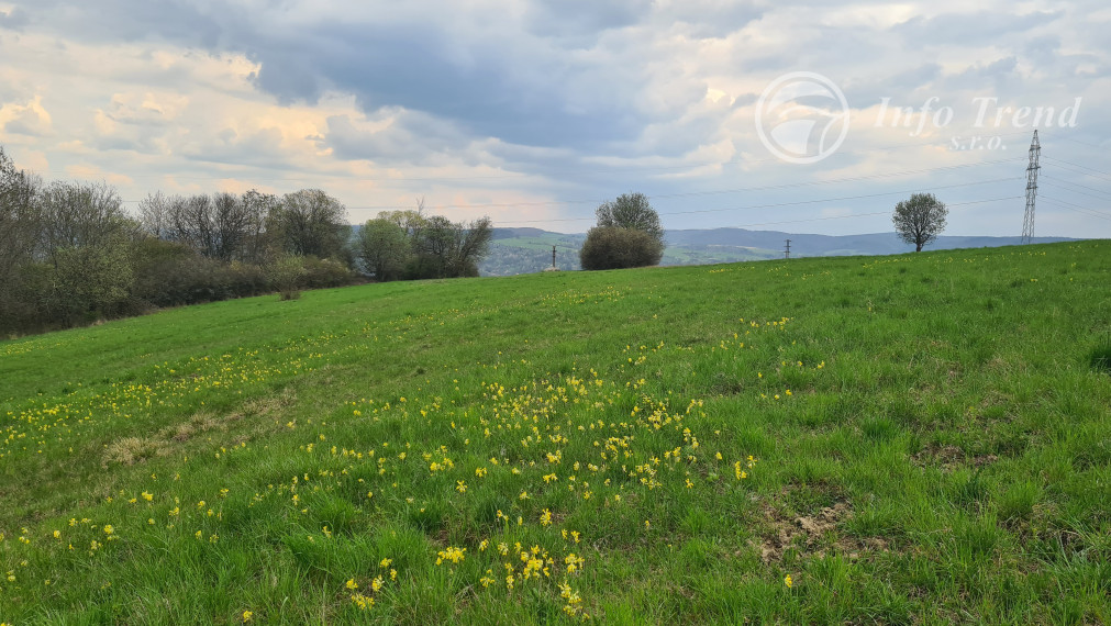 Pozemky  nad sídliskom Moliterka - Stredná hora