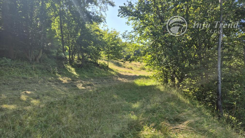 Rekreačná chata - dobová drevenica v Livovskej Hute