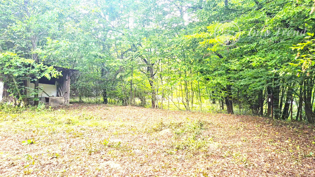 Veľký pozemok v Bardejove časť za Šibeňou horou s murovanou chatou