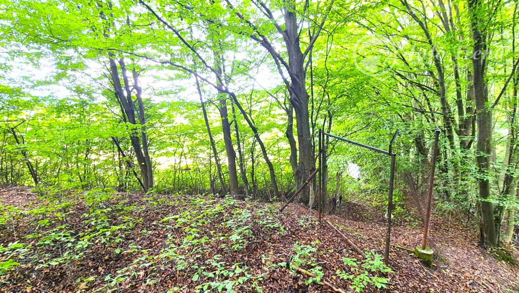Veľký pozemok v Bardejove časť za Šibeňou horou s murovanou chatou