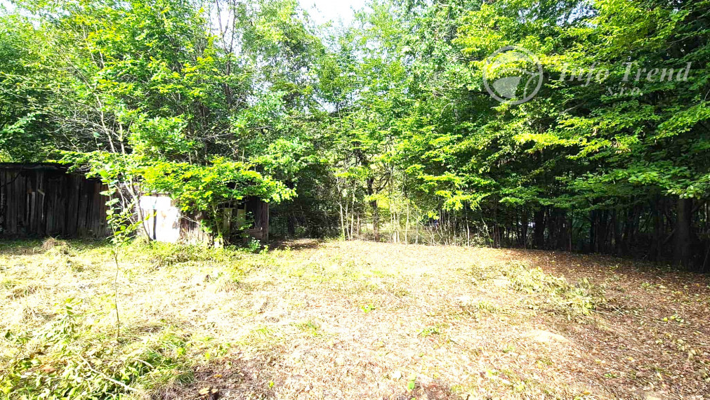 Veľký pozemok v Bardejove časť za Šibeňou horou s murovanou chatou
