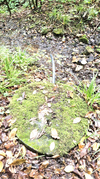 Veľký pozemok v Bardejove časť za Šibeňou horou s murovanou chatou