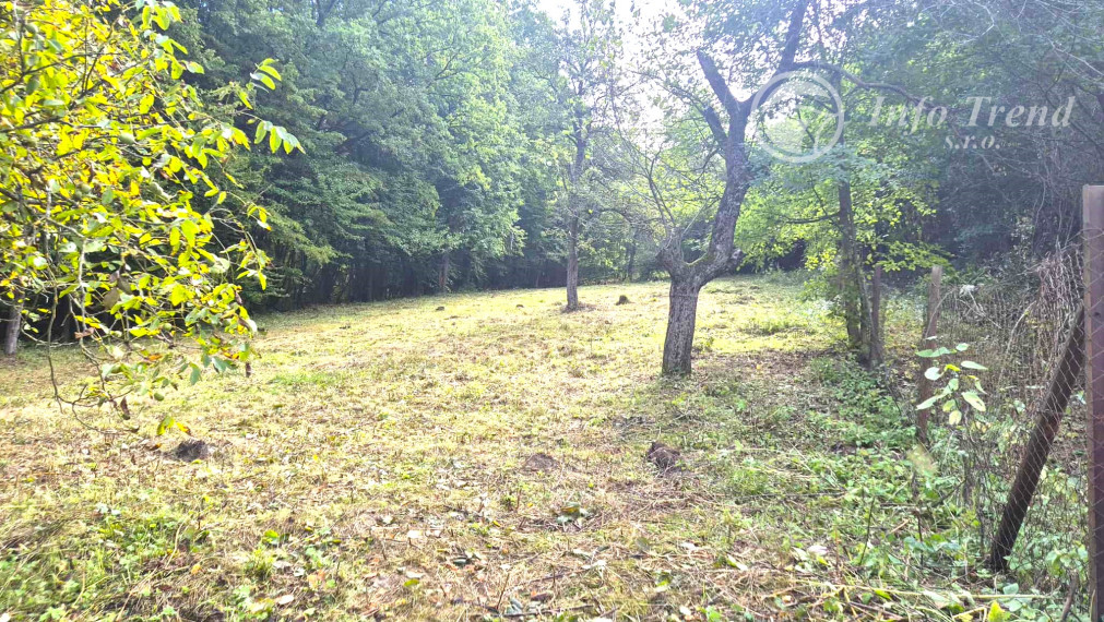 Veľký pozemok v Bardejove časť za Šibeňou horou s murovanou chatou