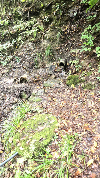 Veľký pozemok v Bardejove časť za Šibeňou horou s murovanou chatou