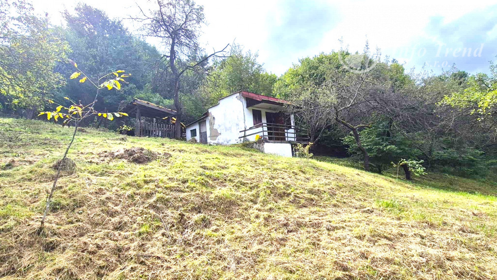 Veľký pozemok v Bardejove časť za Šibeňou horou s murovanou chatou