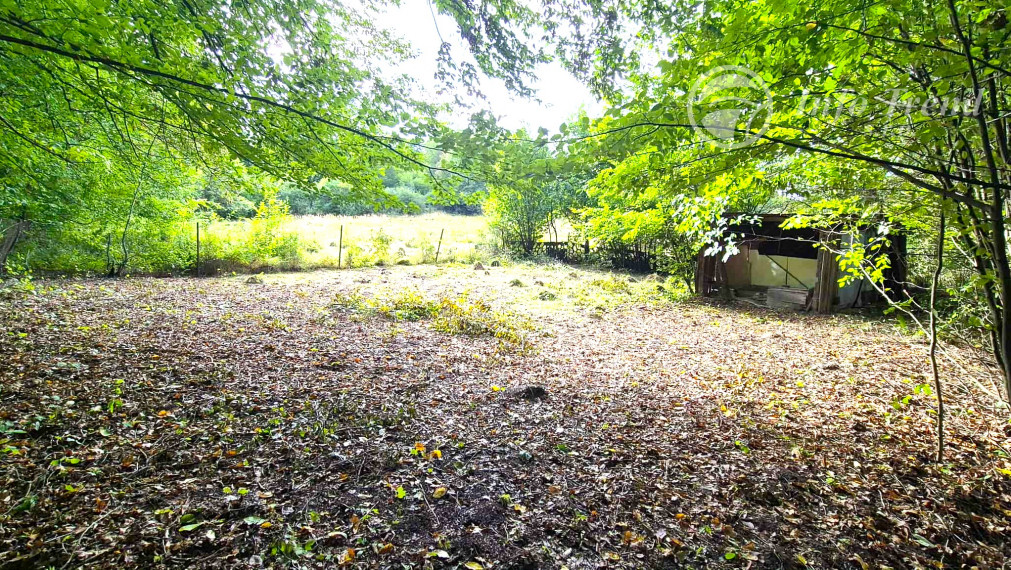 Veľký pozemok v Bardejove časť za Šibeňou horou s murovanou chatou
