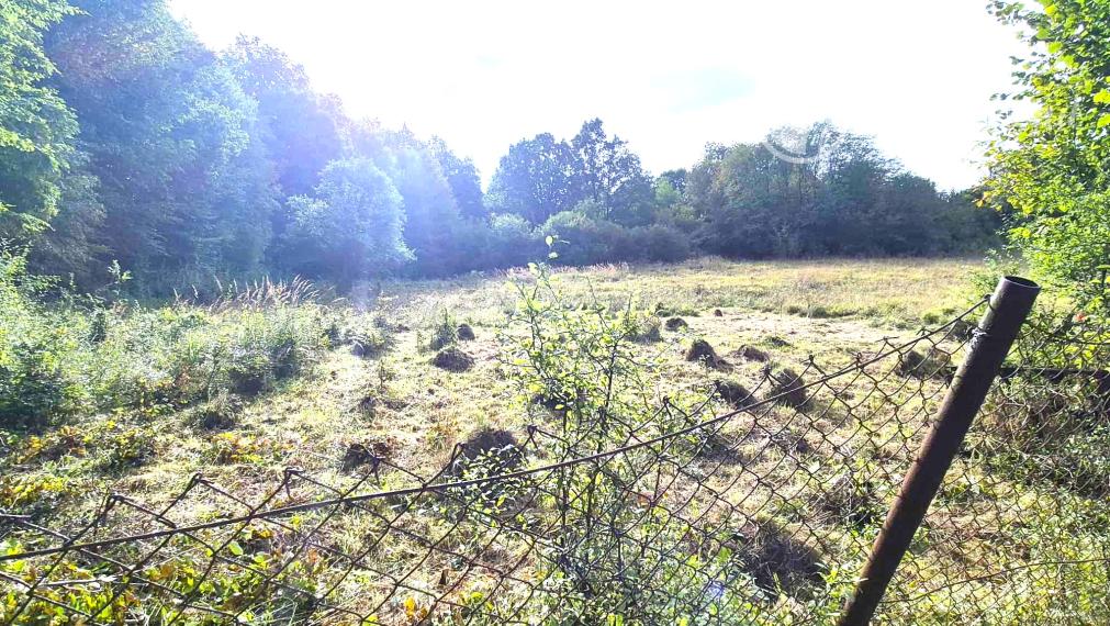 Veľký pozemok v Bardejove časť nad Šibeňou horou s murovanou chatou