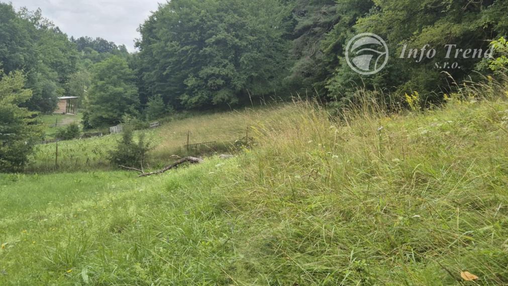 Veľký pozemok v Bardejove časť nad Šibeňou horou s murovanou chatou