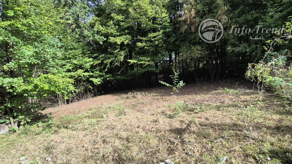 Veľký pozemok v Bardejove časť za Šibeňou horou s murovanou chatou