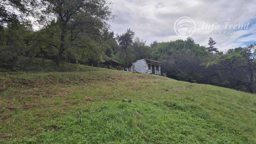 Veľký pozemok v Bardejove časť za Šibeňou horou s murovanou chatou