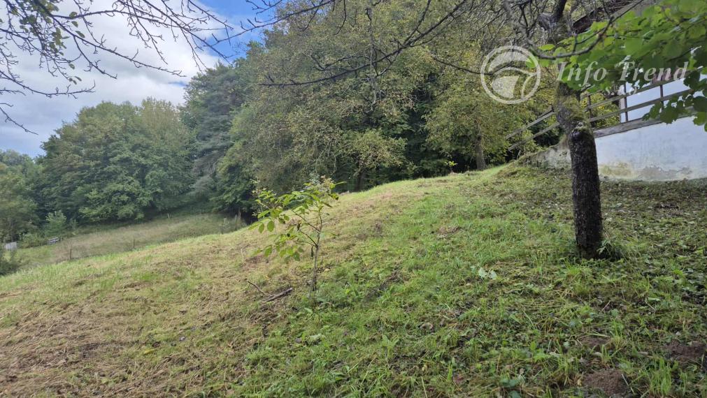 Veľký pozemok v Bardejove časť za Šibeňou horou s murovanou chatou