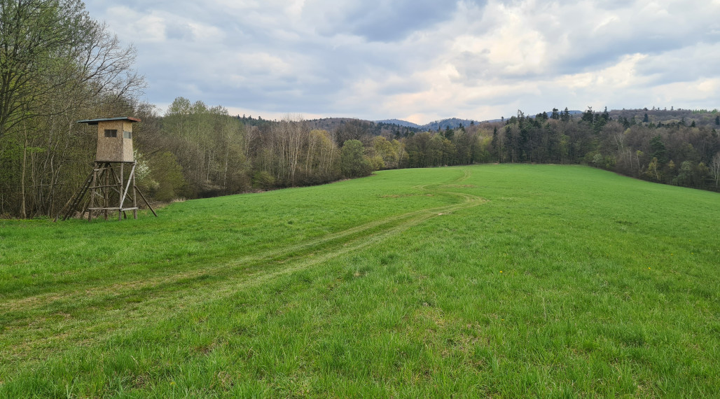Pozemky  nad sídliskom Moliterka - Stredná hora