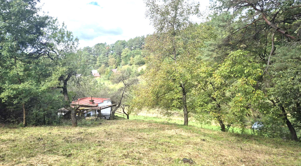 Veľký pozemok v Bardejove časť nad Šibeňou horou s murovanou chatou