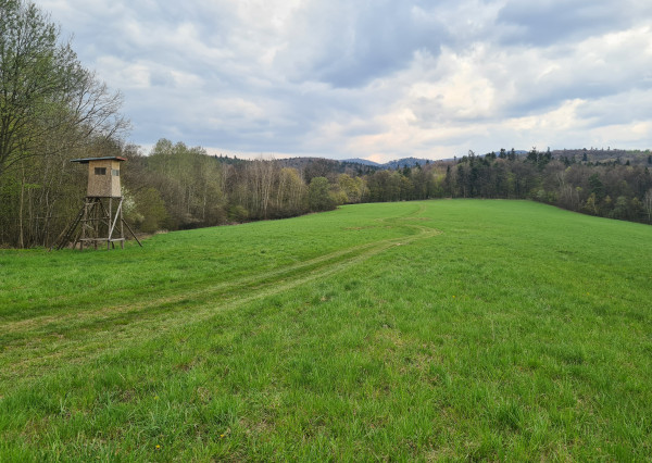 Pozemky  nad sídliskom Moliterka - Stredná hora