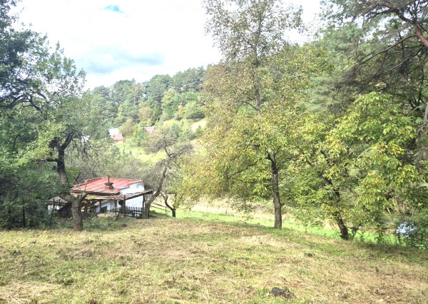 Veľký pozemok v Bardejove časť za Šibeňou horou s murovanou chatou