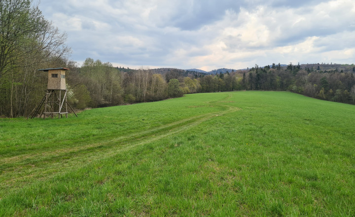 Pozemky  nad sídliskom Moliterka - Stredná hora