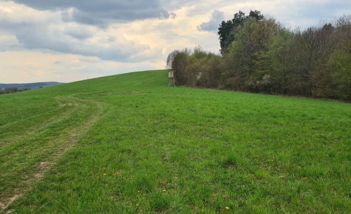 Pozemky  nad sídliskom Moliterka - Stredná hora - fotografia 3