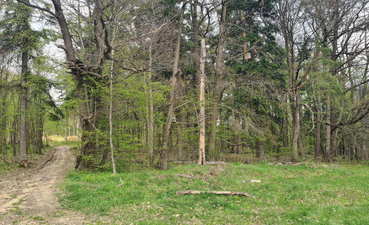 Pozemky  nad sídliskom Moliterka - Stredná hora - fotografia 5