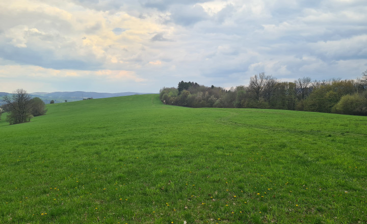 Pozemky  nad sídliskom Moliterka - Stredná hora - fotografia 7