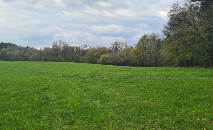 Pozemky  nad sídliskom Moliterka - Stredná hora - fotografia 9