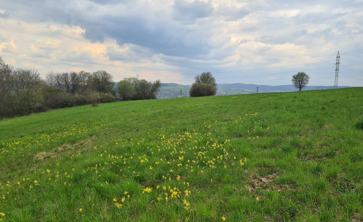 Pozemky  nad sídliskom Moliterka - Stredná hora - fotografia 11