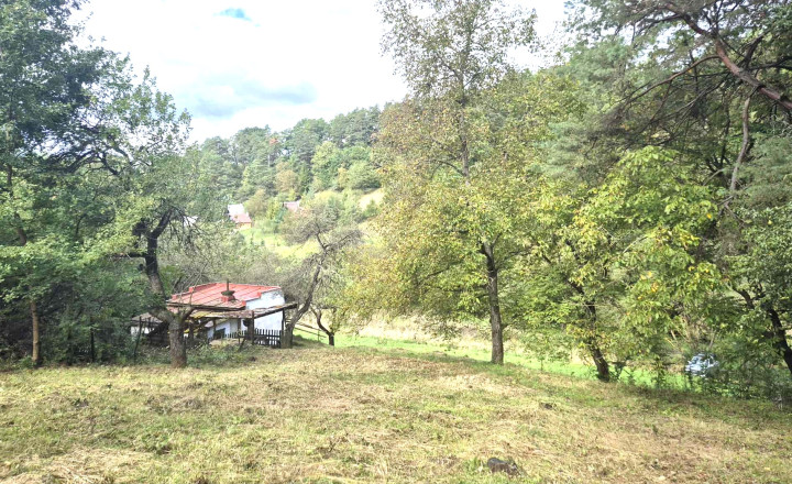 Veľký pozemok v Bardejove časť za Šibeňou horou s murovanou chatou