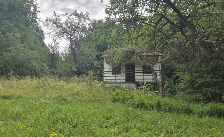 Veľký pozemok v Bardejove časť nad Šibeňou horou s murovanou chatou - fotografia 3