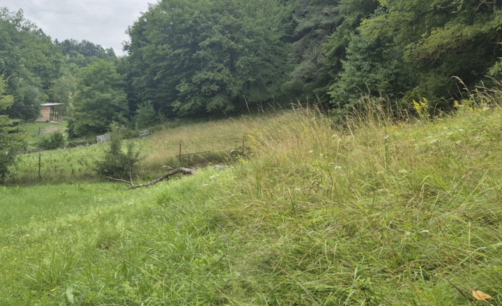 Veľký pozemok v Bardejove časť nad Šibeňou horou s murovanou chatou - fotografia 13