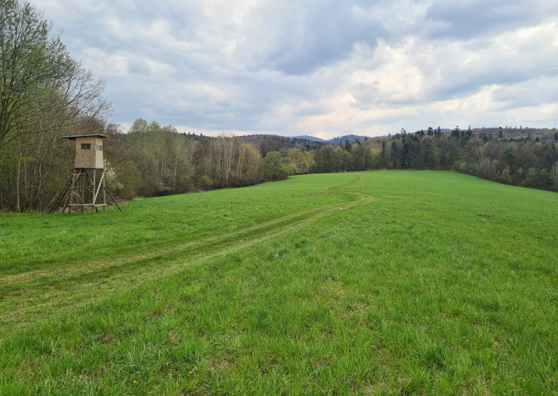 Pozemky  nad sídliskom Moliterka - Stredná hora